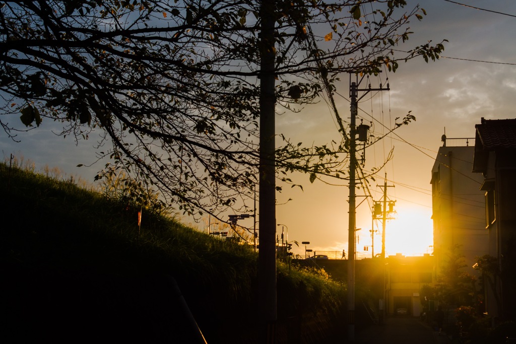 Walk in a fiery sunset