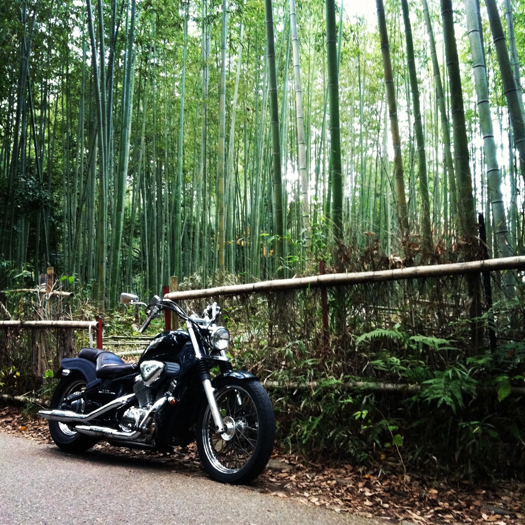 Bike and bamboo