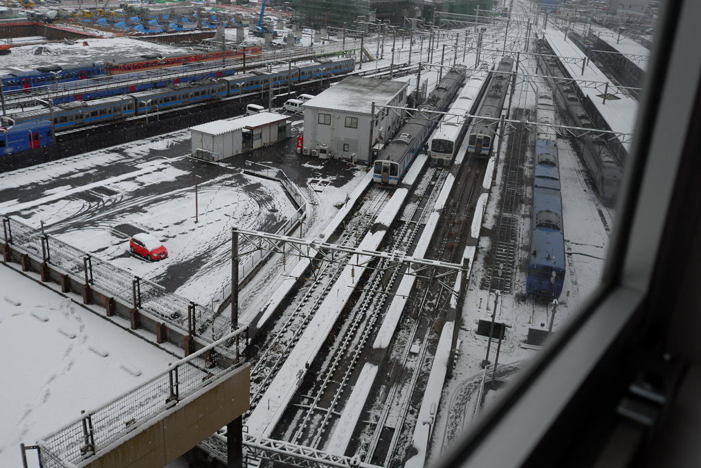 Snowy morning