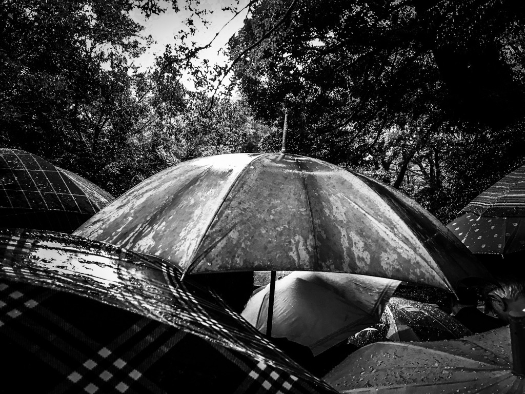 Rain