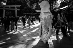 Shiromuku in shrine