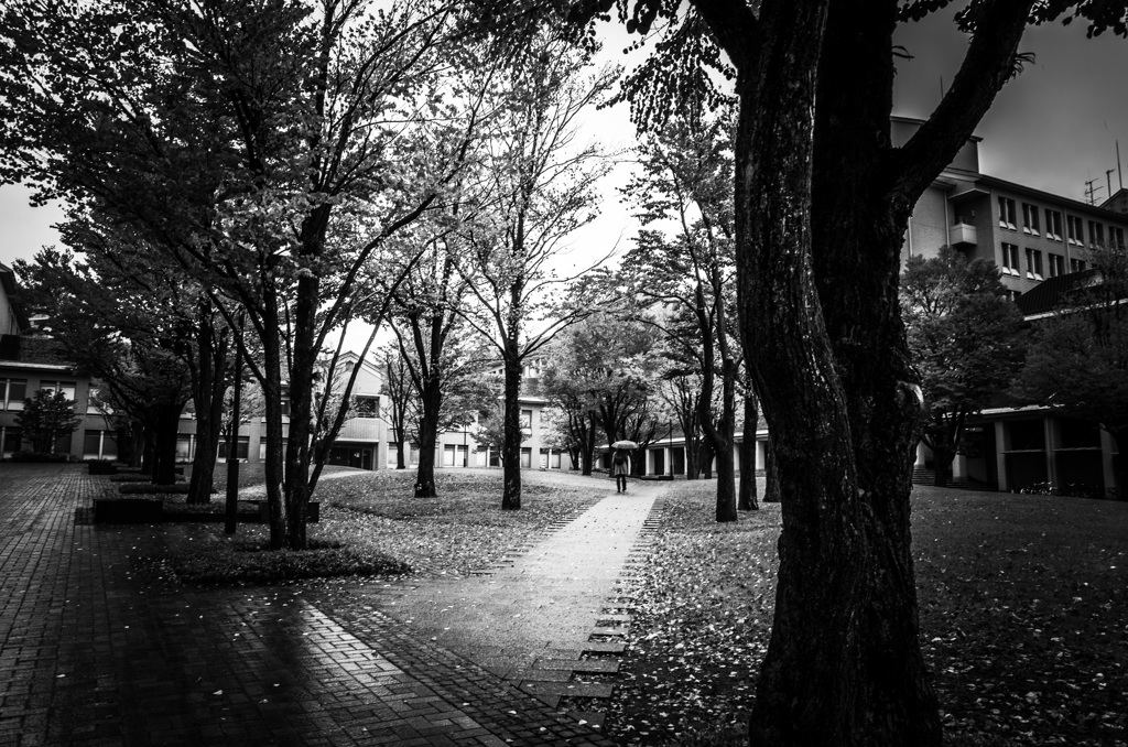Autumn rain
