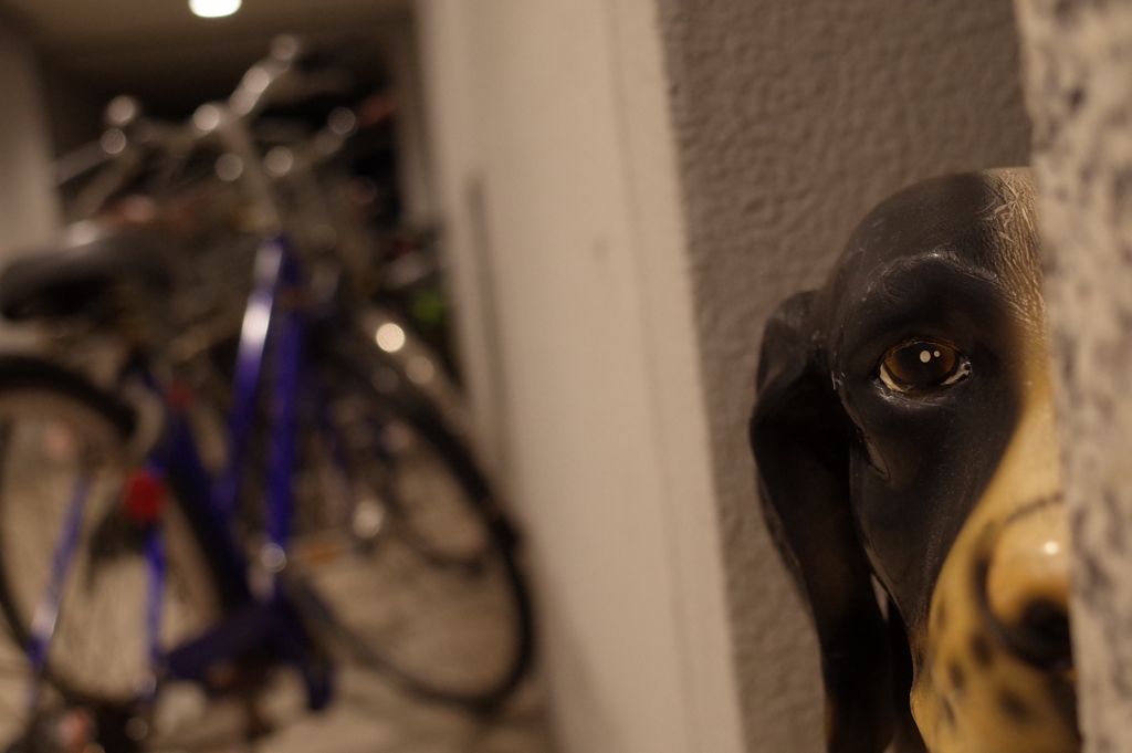 Watchdog