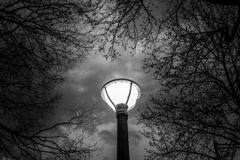 Street light