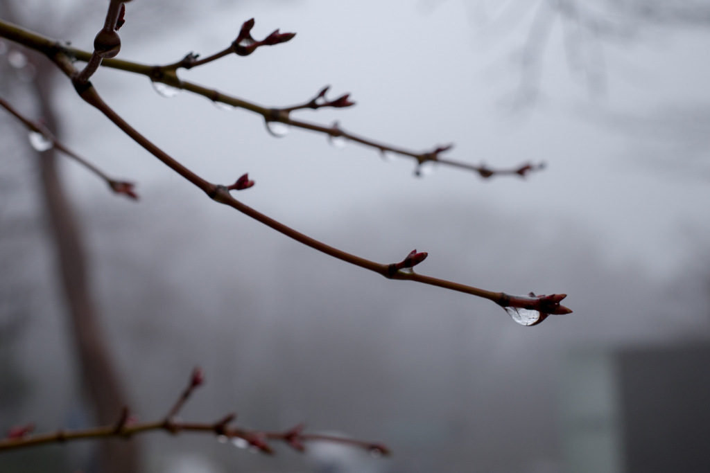 Reflection in raindrop
