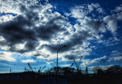 Cranes
