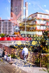 Mikoshi reflection
