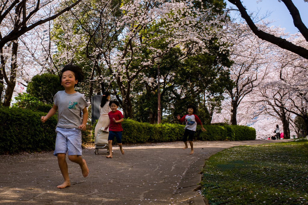 2018 Hanami snap #1