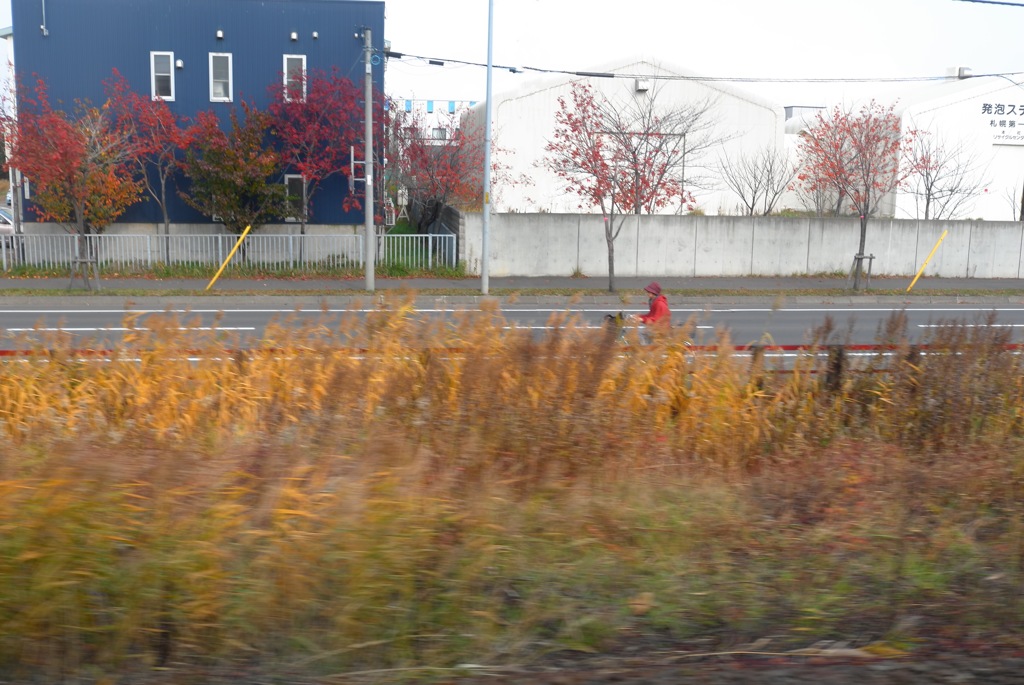 Autumn bicycle（Trip to north city #7）