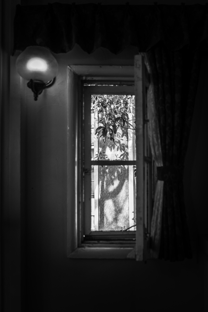 Through the window