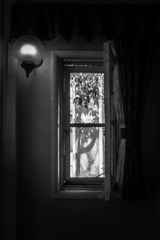 Through the window