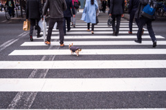 Go for a walk