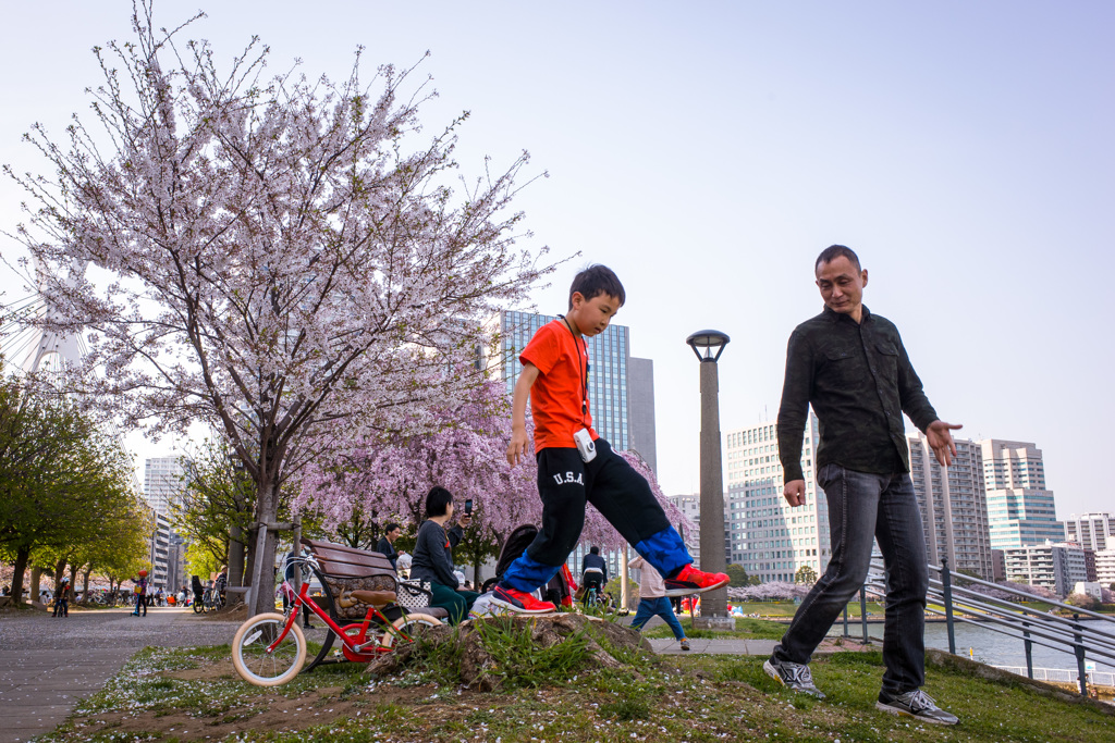 2018 Hanami snap #11