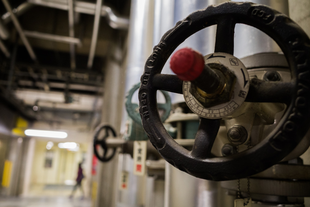 Valve and woman