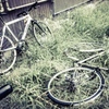 After rain