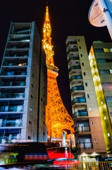 From the valley of the building