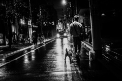 Go for a walk in the night