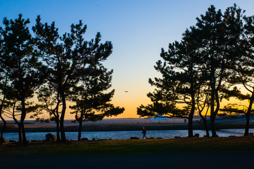 Winter evening