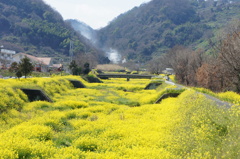 黄色い川