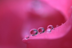 　　　雨の宝石　　1