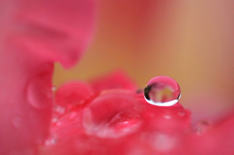 　　　雨の宝石　　4