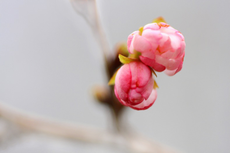 　　もう少し待って