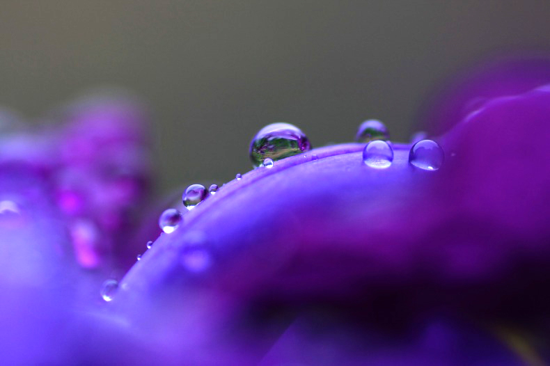 　　　花雫