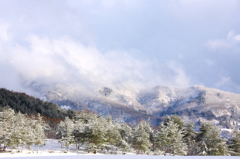 　　　雪の晴れ間