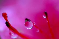　　　水玉の詩　　3