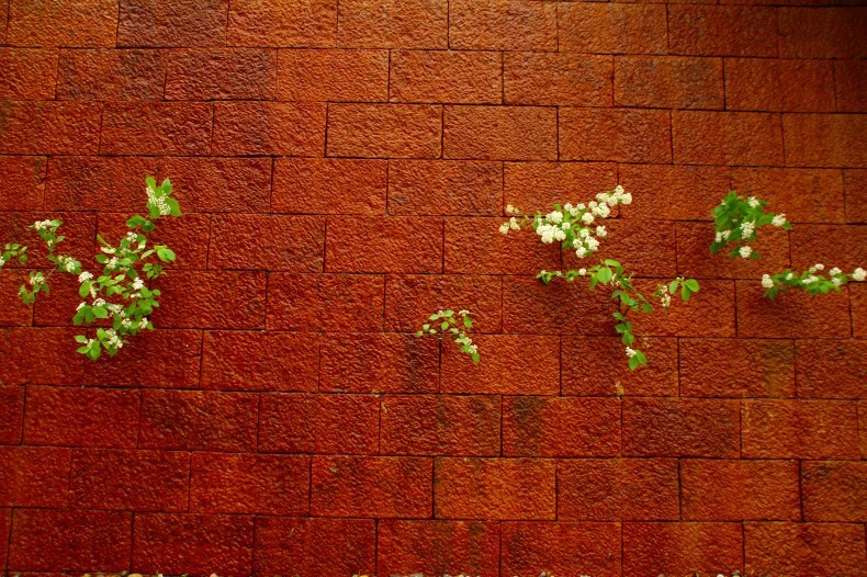 　　　壁の花
