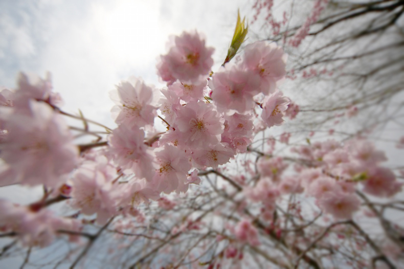 　　朝の光