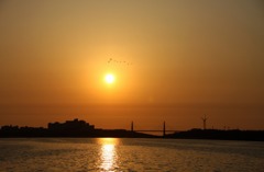 　　　潟の夕陽