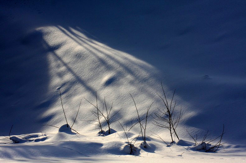 　　　光のステージ　　1