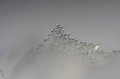 　　　雪の結晶　　3