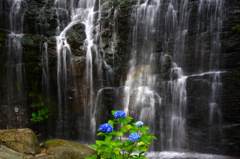 　　　花咲く滝