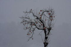 　　風雪に耐えて