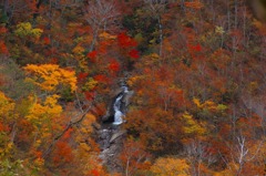 　　　紅葉に映えて