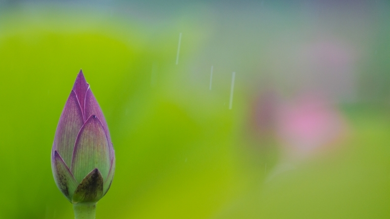 小雨