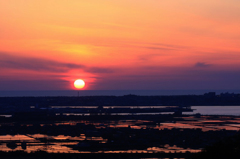 　　　夕陽染めて
