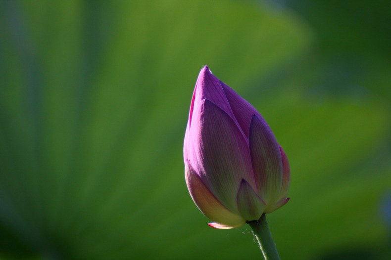 　　　もう少し待って・・・