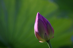 　　　もう少し待って・・・