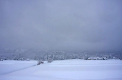 　　　もうすぐ吹雪が