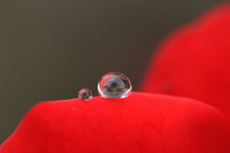 花雫　(1