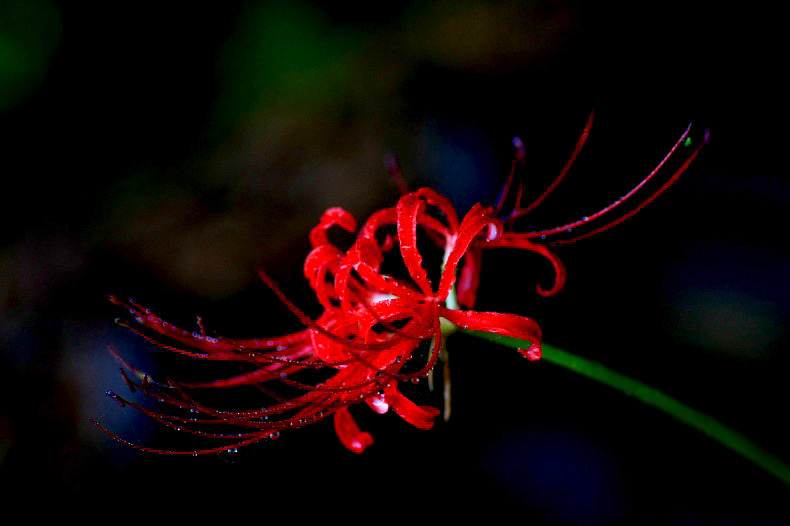 　　　小雨の後で　　4