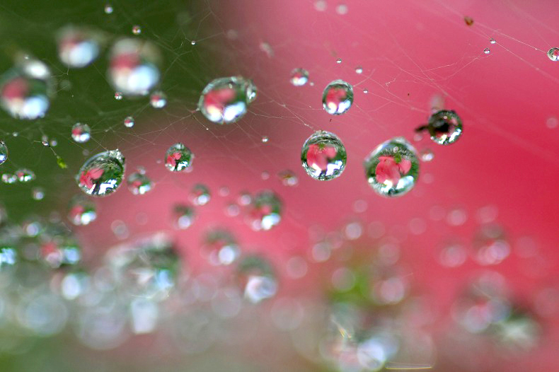 　　　雨の贈り物　　3