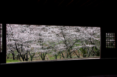 　　　花舞台