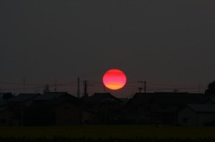 　　　赤い夕陽