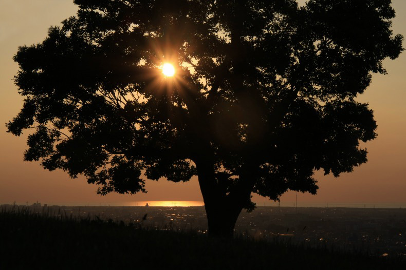 　　　夕陽射し込む