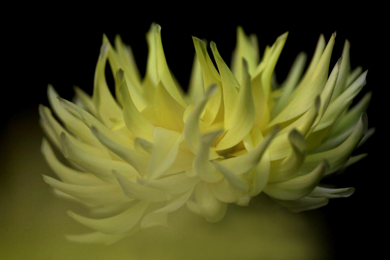 　　　彩花　8