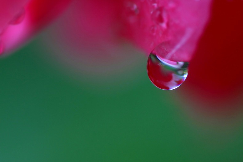 　　　花雫　　3